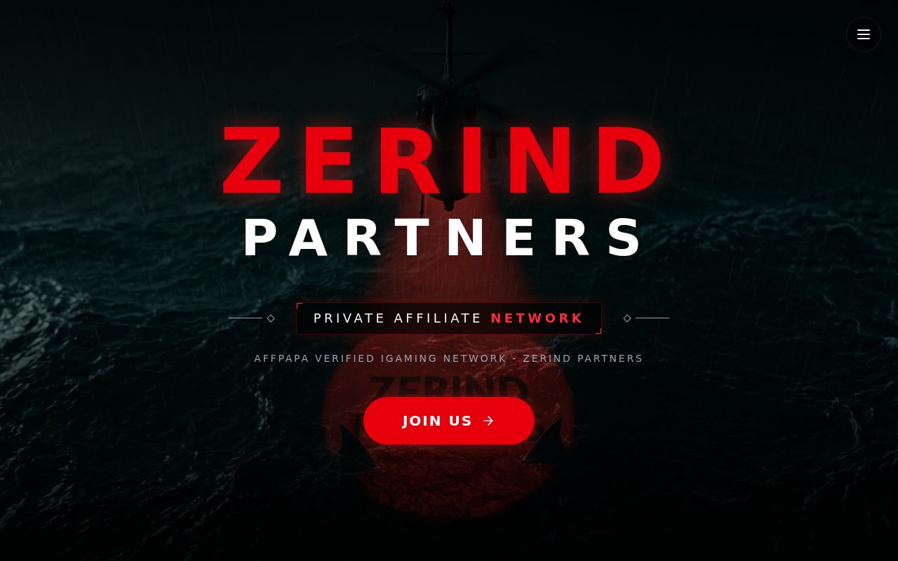 Zerind Partners website screenshot