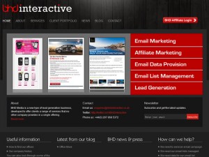 BHD Interactive logo