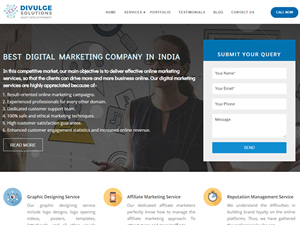Divulge Solutions logo