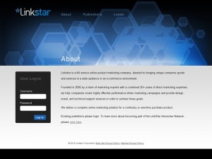 Linkstar Interactive logo