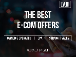 Lvl11 logo