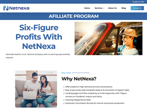 NetNexa logo