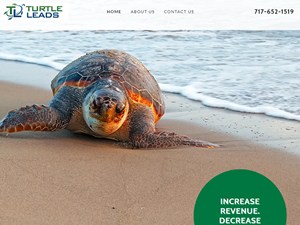 Turtle Leads logo